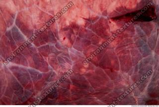 Photo Textures of RAW Pork Meat